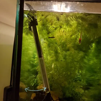 Kẹp Giữ Máy Sưởi Hồ Cá