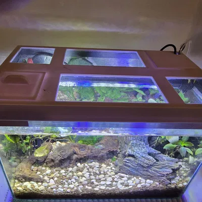 Nắp đậy hồ cá