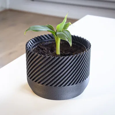 Chậu Cây Xoắn Ốc Hiện Đại - Chậu Trồng Cây, Hoa - Ý Tưởng Quà Tặng