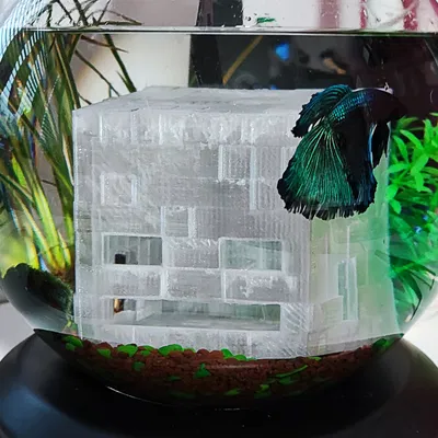 Đầu Lâu Minecraft Cho Hồ Cá