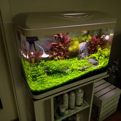 Giá đỡ đèn bổ sung cho bộ đèn INVITAL EasyTank PRO LED 58