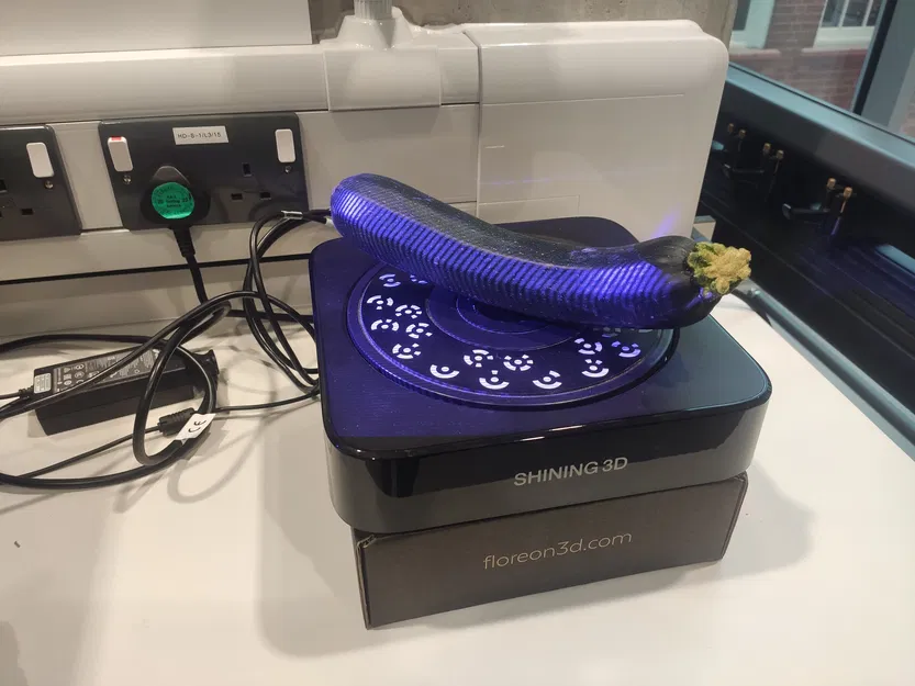 Bí Ngòi - Quét 3D - Image 1