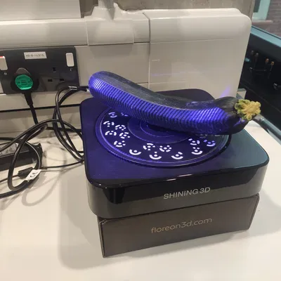 Bí Ngòi - Quét 3D