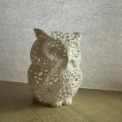 Mô Hình 3D: Chú Cú Voronoi Dễ Thương