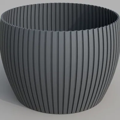 Thêm một chậu hoa nữa nè