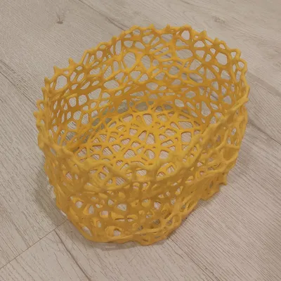 Hộp Lưu Trữ Voronoi