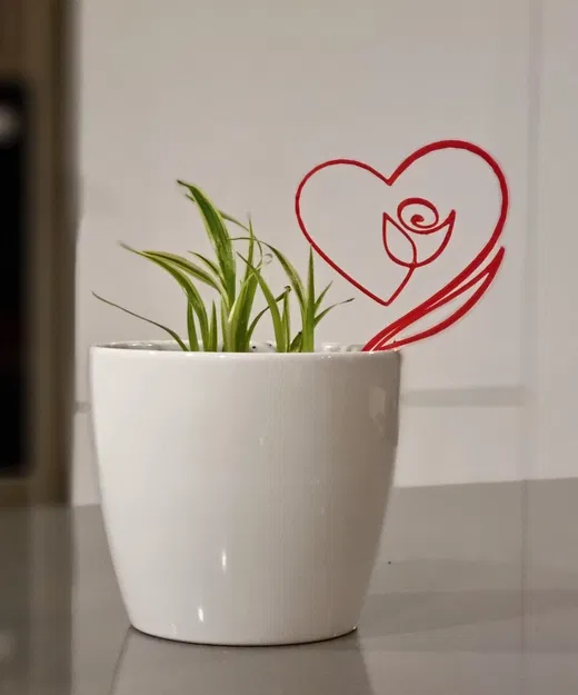 Trái Tim Hoa Hồng Valentine - Image 4