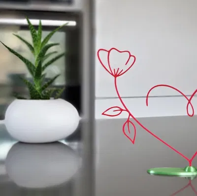 Trái Tim Hoa Valentine