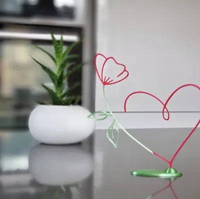 Trái Tim Hoa Valentine