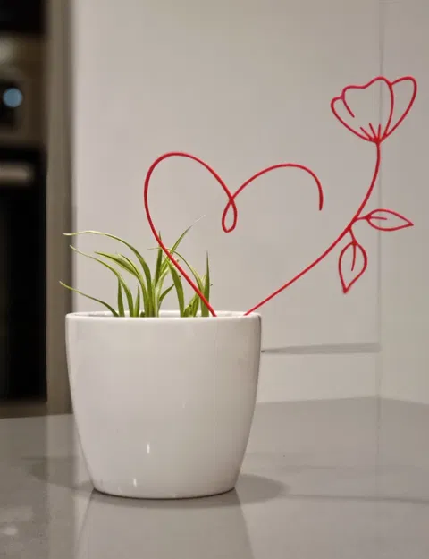 Trái Tim Hoa Valentine - Image 3