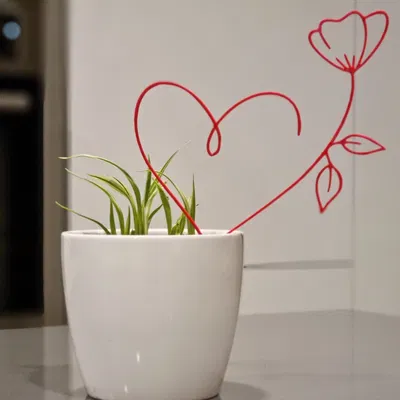 Trái Tim Hoa Valentine