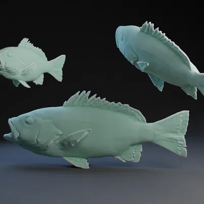 Mô Hình 3D Cá Snapper