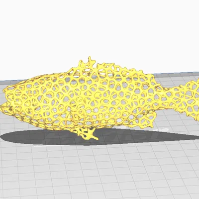 Mô hình cá snapper voronoi