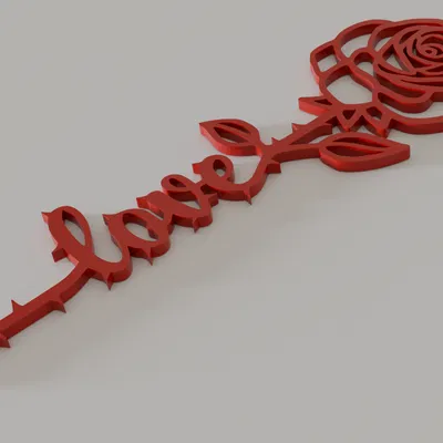 Hoa Hồng Gai Tình Yêu