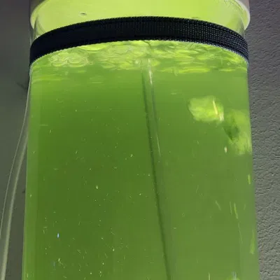 Nắp Bể Vi Khuẩn Tảo Biển / Fitoplancton Tank Cover