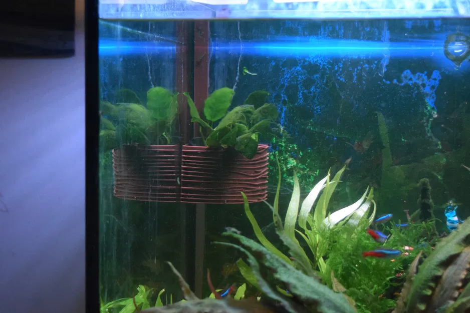 Chậu Trồng Cây Treo Hồ Cá - Image 3