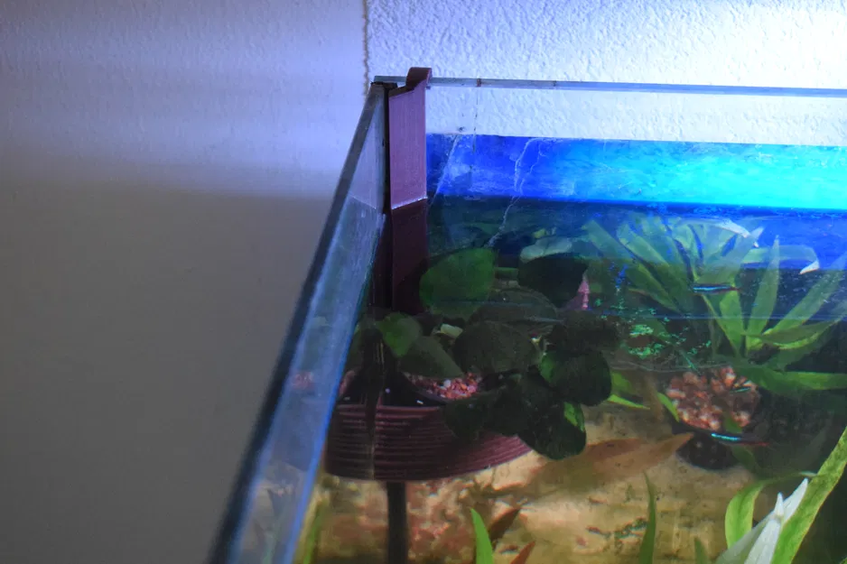 Chậu Trồng Cây Treo Hồ Cá - Image 4