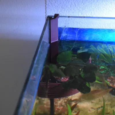 Chậu Trồng Cây Treo Hồ Cá