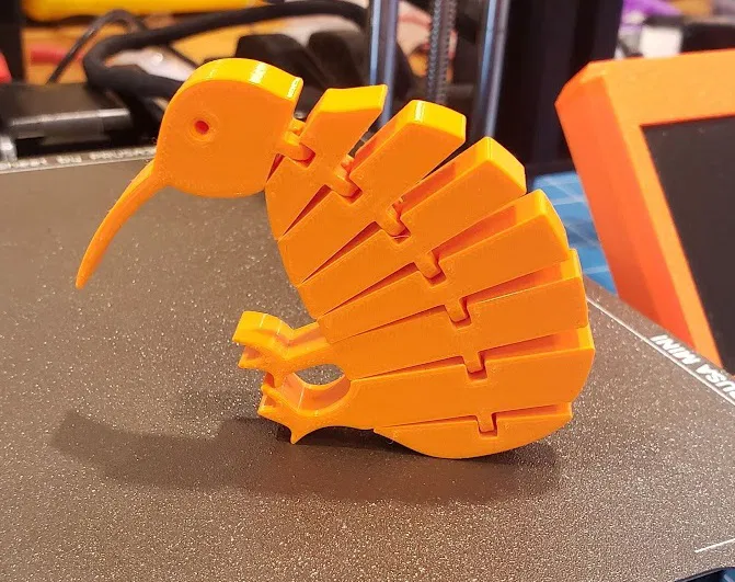 Chim Kiwi Khớp Nối - Image 1