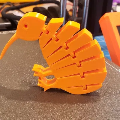 Chim Kiwi Khớp Nối