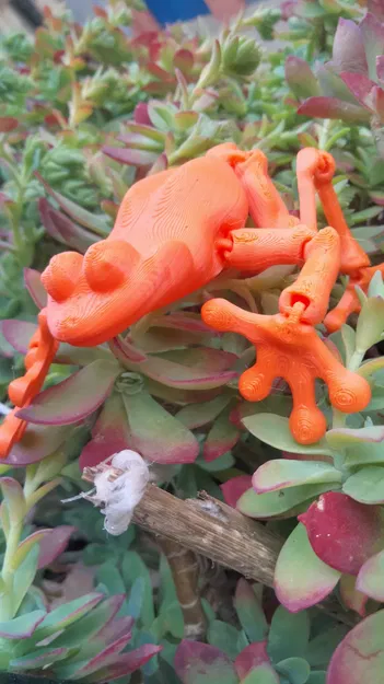 Ếch Con Dễ Thương Co Giãn In Được - Số Lượng Có Hạn - Image 3