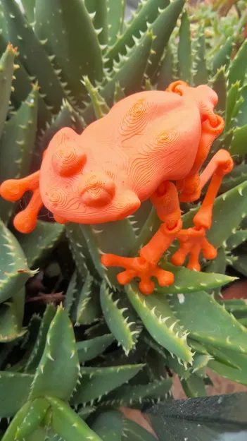 Ếch Con Dễ Thương Co Giãn In Được - Số Lượng Có Hạn - Image 4