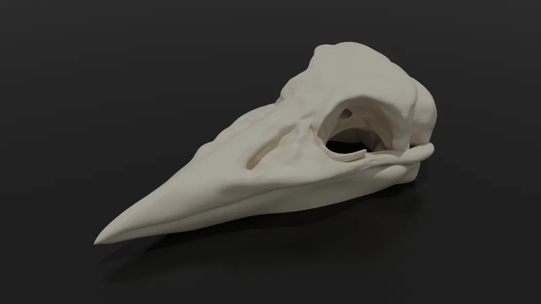 Mô hình 3D Đầu Lâu Quạ - Calavera Cuervo - Image 2