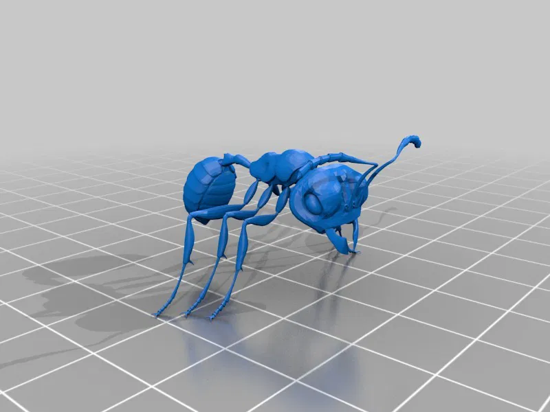 Mô hình Kiến - Image 1