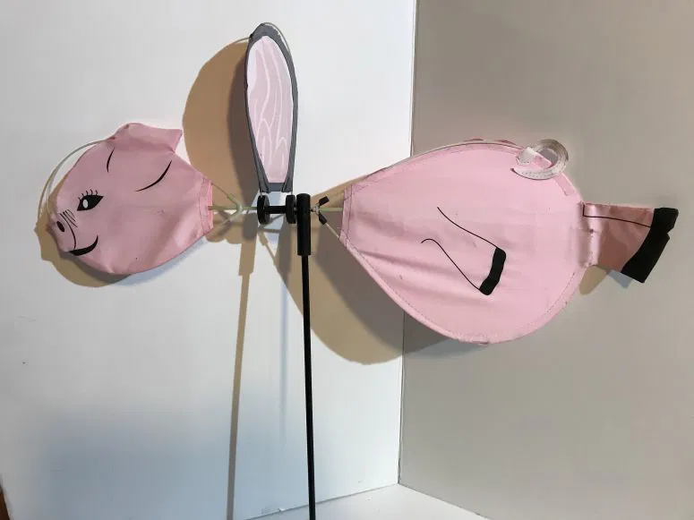 Đồ Chơi Cánh Quạt Rùa - Image 5