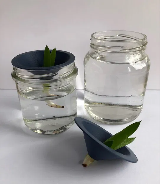 Dụng Cụ Hỗ Trợ Giâm Cành Cây - Image 1