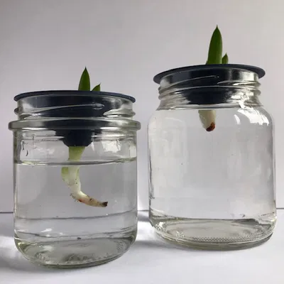 Dụng Cụ Hỗ Trợ Giâm Cành Cây