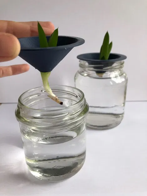 Dụng Cụ Hỗ Trợ Giâm Cành Cây - Image 4