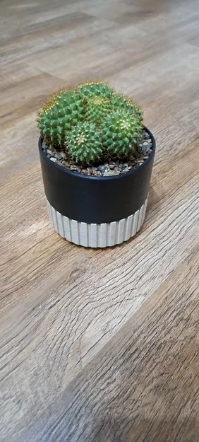 Chậu Tái Tạo 120mm - Image 3