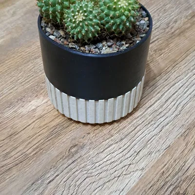 Chậu Tái Tạo 120mm