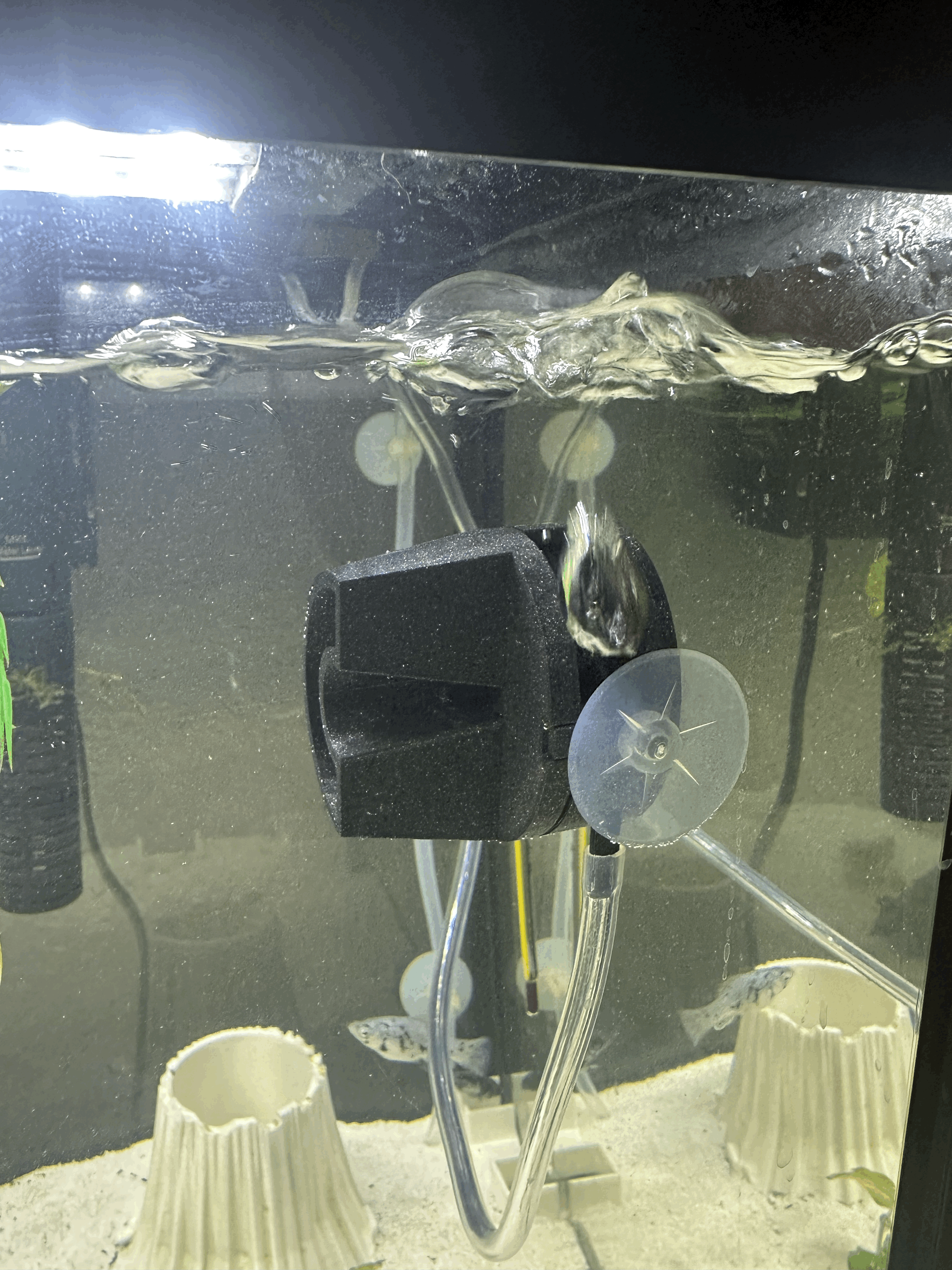 Bơm Tuần Hoàn Cho Hồ Cá - Thumbnail 2