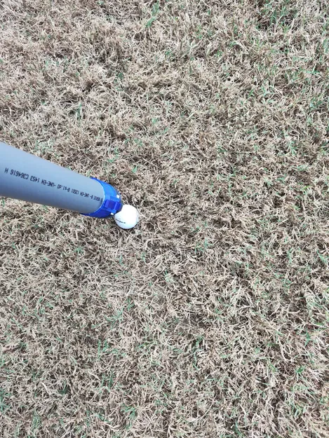 Ống Nhặt Banh Golf Tự Động - Image 2