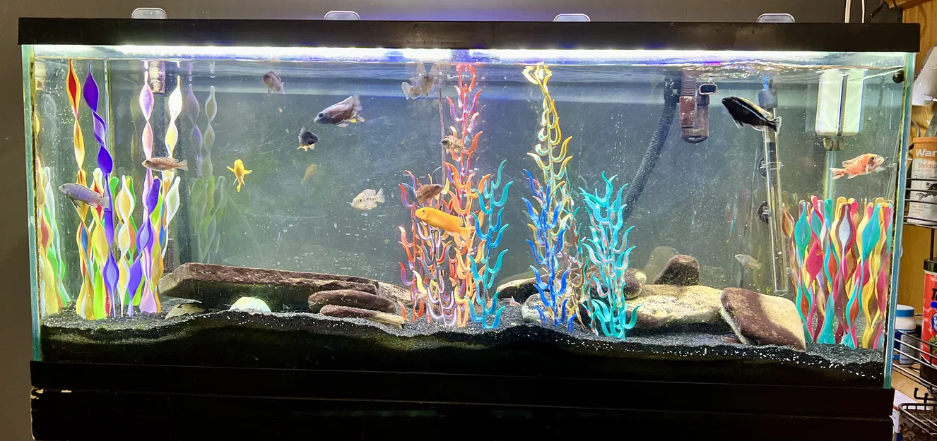 Cây Thủy Sinh Cho Bể Cá - Image 1