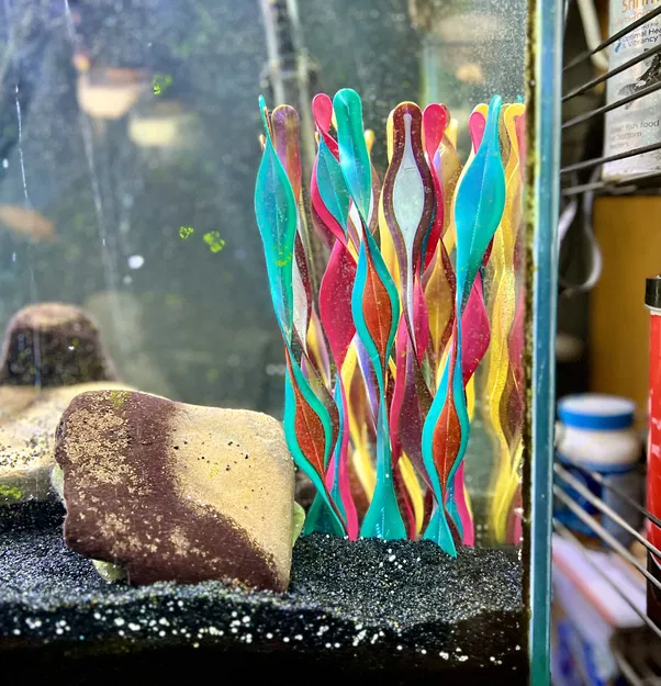 Cây Thủy Sinh Cho Bể Cá - Image 3