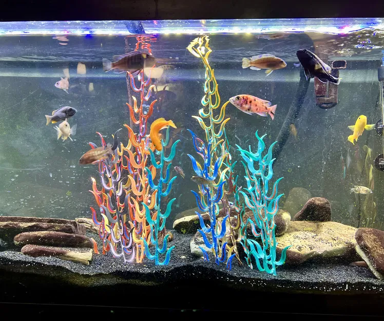 Cây Thủy Sinh Cho Bể Cá - Image 4