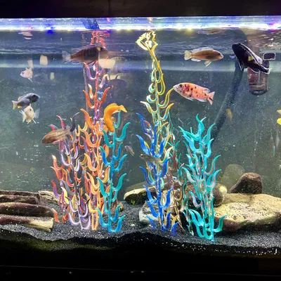 Cây Thủy Sinh Cho Bể Cá