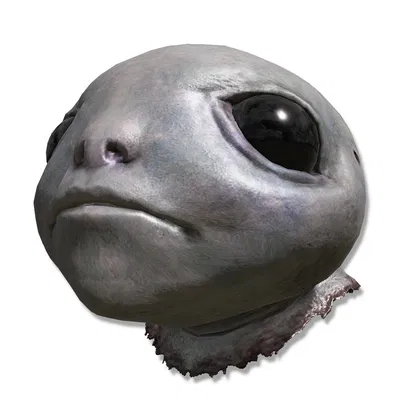 Mặt Nạ Albinauric Elden Ring (Đeo được)