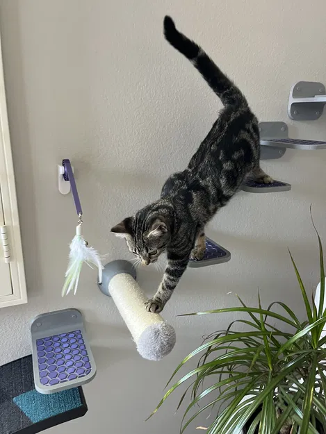 Bậc Thang Treo Tường Cho Mèo (3 phiên bản) - Image 1