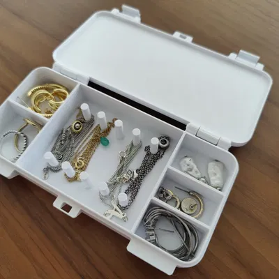 Hộp đựng trang sức du lịch