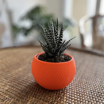 Bình Cắm Hoa VASE