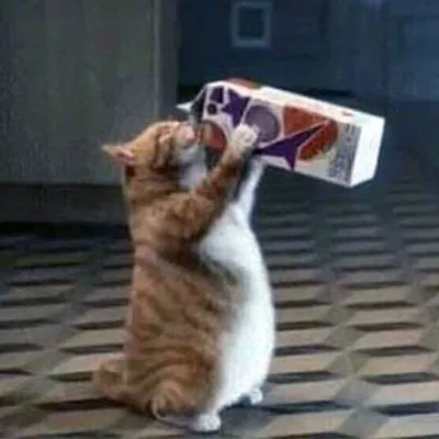 Móc Khóa Mèo Uống Sữa