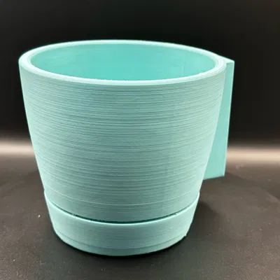 Chậu Trồng Cây Tiêu Chuẩn và Gắn Tường