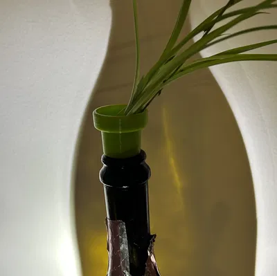 Chậu Trồng Rau Từ Chai Nhựa