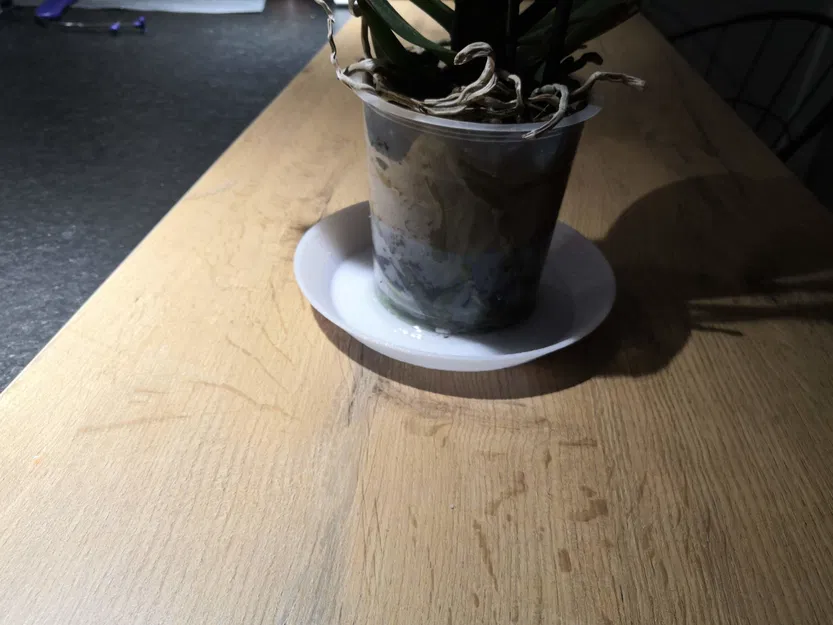 Đế Chậu Hoa Tùy Chỉnh Thông Số - Image 4