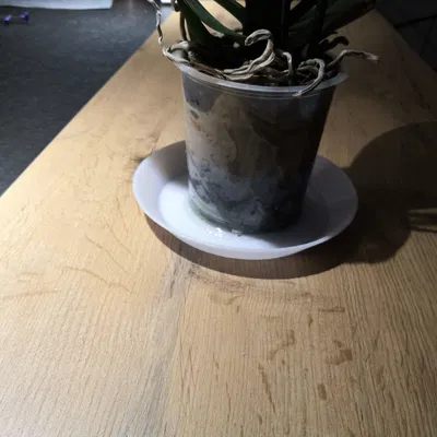 Đế Chậu Hoa Tùy Chỉnh Thông Số