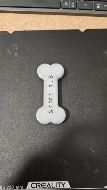 Móc Treo Xương Lớn - Image 1